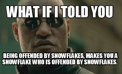 snowflake meme - the matrix