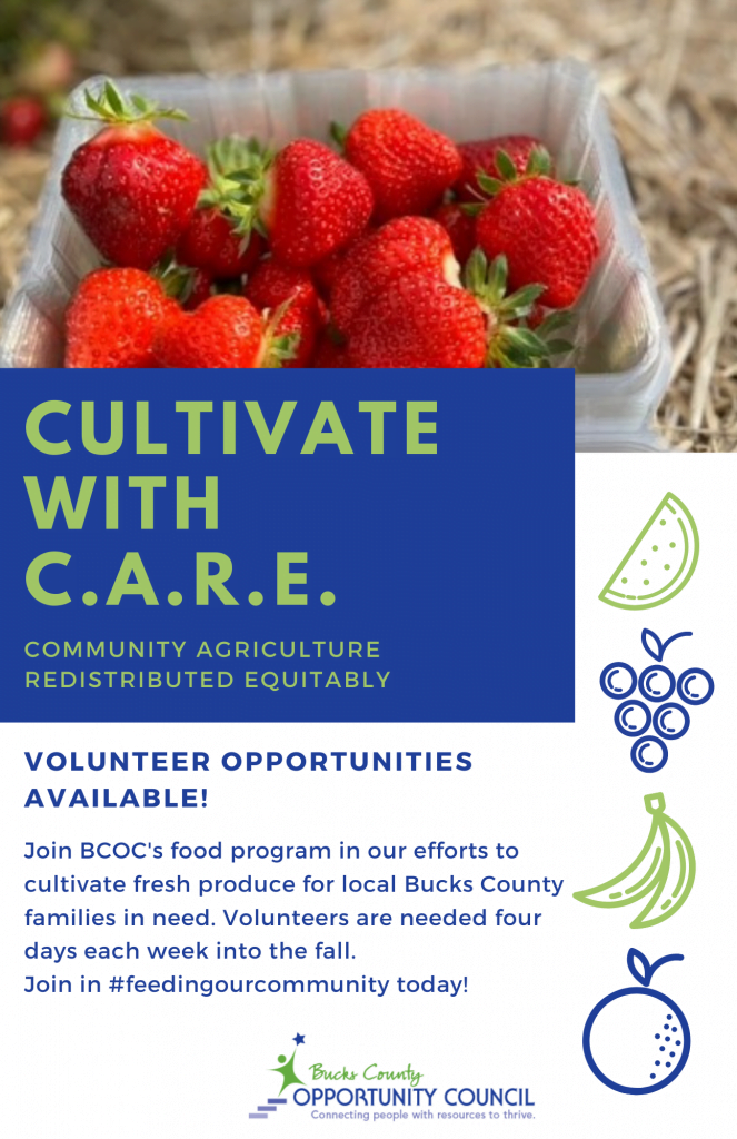 Farming volunteer Flyer for Beacon 1 - Bucks County Beacon - From Farm To Table, Bucks County Opportunity Council Delivers