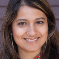 Sonali Kolhatkar, Independent Media Institute