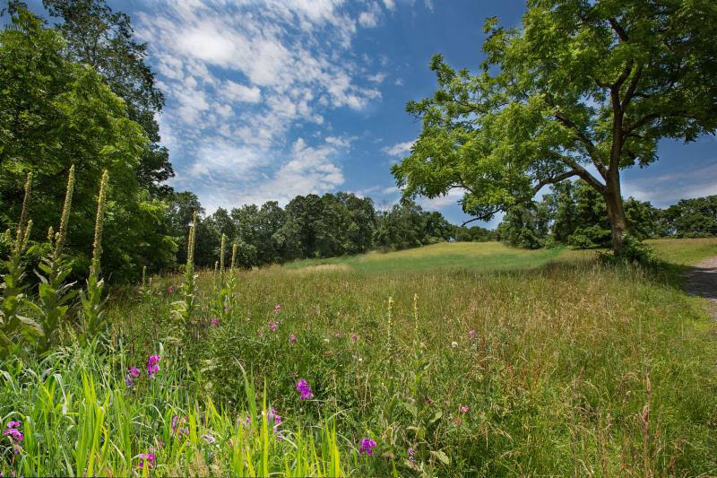 Tinicum Park - Bucks County Beacon - You Can Help Preserve Open Space In Bucks County For Future Generations