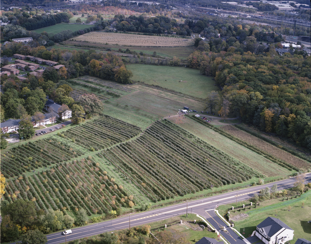 image 9 - Bucks County Beacon - Snipes Farm’s Transition to Permaculture Practices Will Reduce Environmental Footprint, Protect Biodiversity