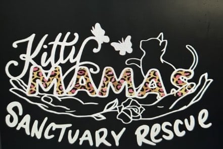 KSMR 1 - Bucks County Beacon - Bucks County’s KittyMamas Sanctuary Rescue Needs Help to Keep Saving and Rehoming Abandoned and Neglected Kittens