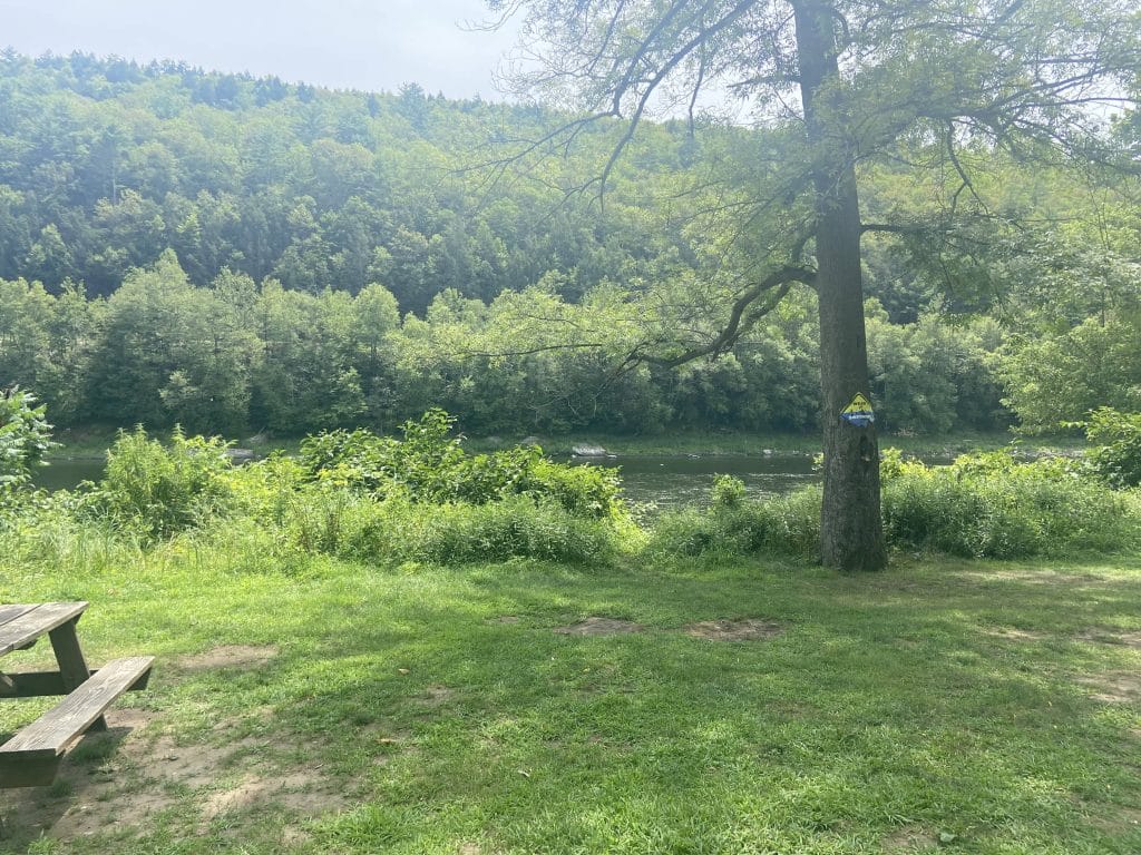 River View from Canoe Livery - Bucks County Beacon - A New York Region of the Delaware River Watershed Risks Becoming an Overdeveloped, Commercial Playground