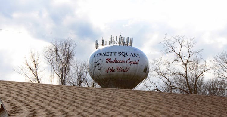 Photo of a water tower with 'Kennett Square Mushroom Capital of the World' painted on it