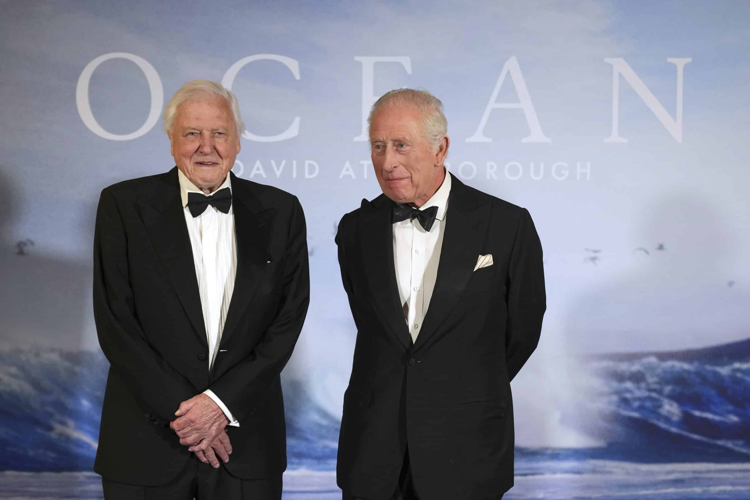 Ocean Film scaled - Bucks County Beacon - David Attenborough's 'Ocean' Is a Brutal, Beautiful Wakeup Call from the Sea