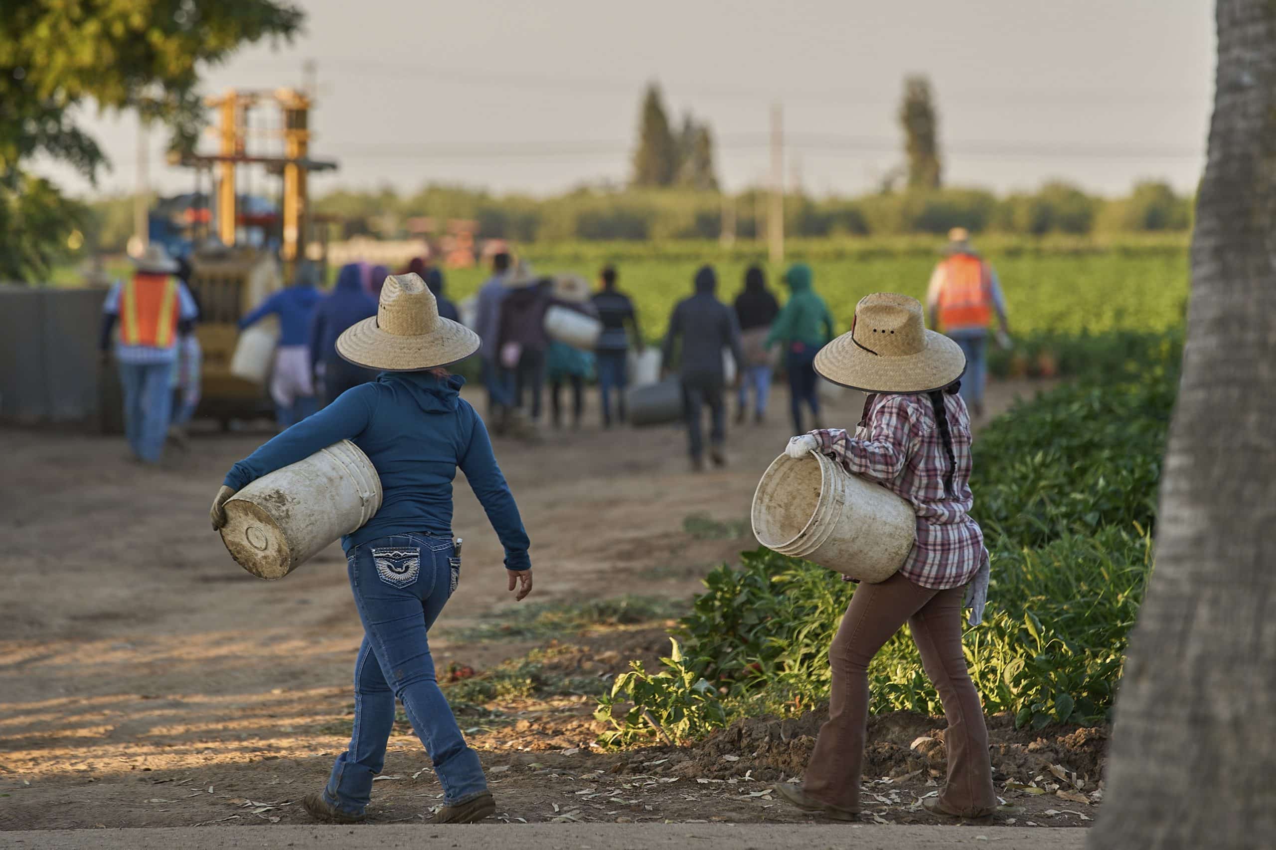 Labor Day Immigrant Labor 1 scaled - Bucks County Beacon - 1.2 Million Immigrants Disappeared From the US Labor Force Under Trump, Preliminary Data Shows