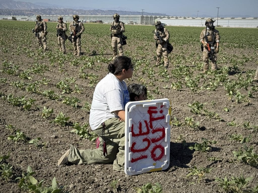 Labor Day Immigrant Labor 3 - Bucks County Beacon - 1.2 Million Immigrants Disappeared From the US Labor Force Under Trump, Preliminary Data Shows