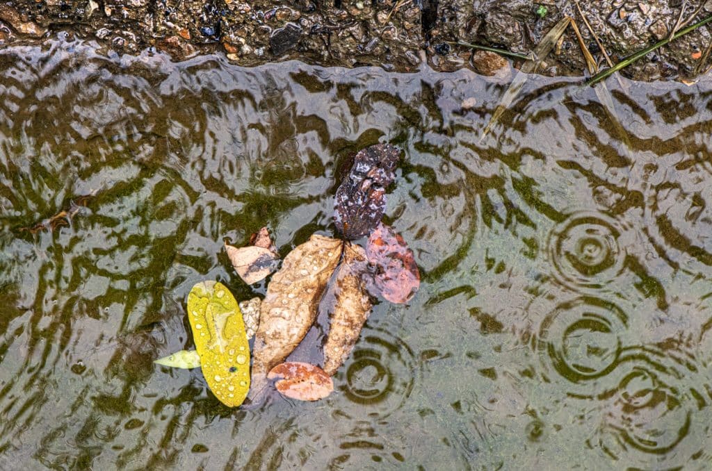 ICN Goldsmith Fracking Runoff1 - Bucks County Beacon - The ‘Toxic Cocktail’ Brewing in Pennsylvania’s Waterways