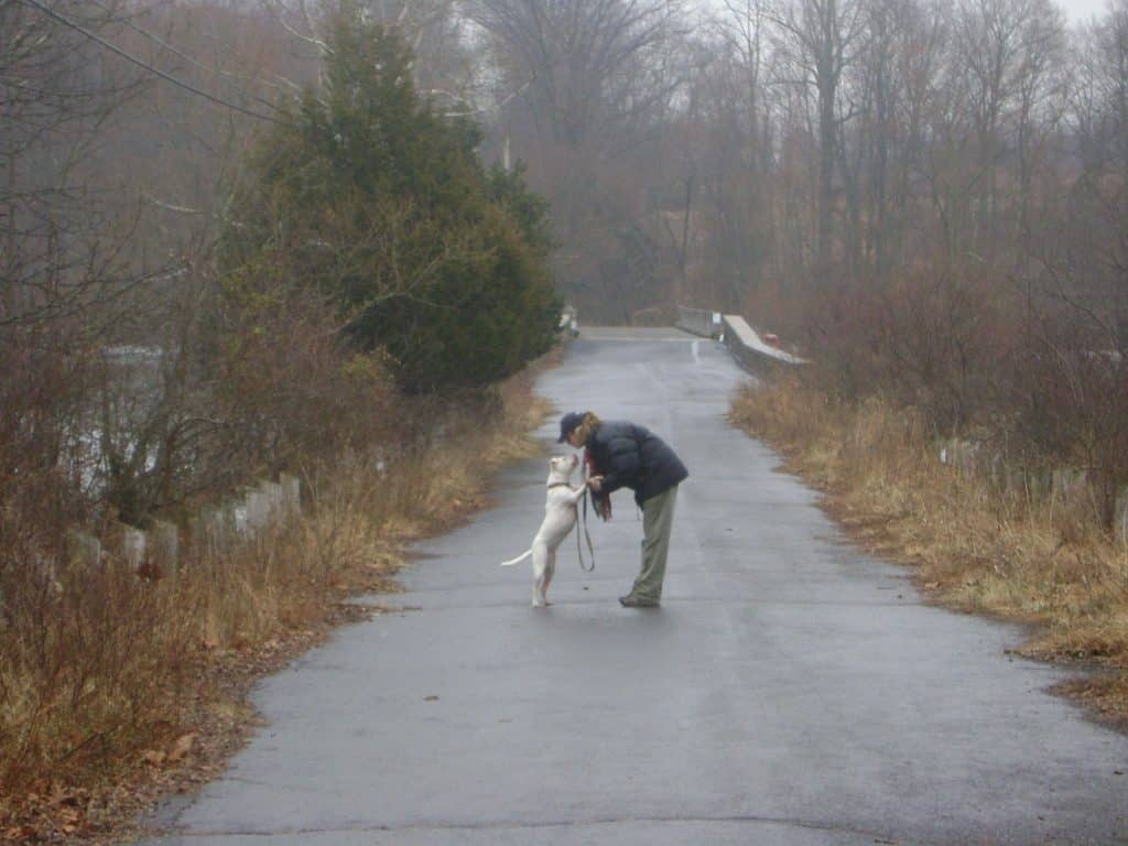 Bucks County-Based Pennsylvania Voters for Animals Seeks to End Animal Cruelty 2 Karen Winkler - Bucks County Beacon - Bucks County-Based Pennsylvania Voters for Animals Seeks to End Animal Cruelty