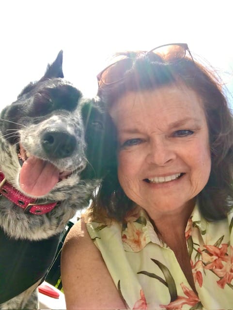 Bucks County-Based Pennsylvania Voters for Animals Seeks to End Animal Cruelty 1 Suzanne Gonzalez Bio photo - Bucks County Beacon - Bucks County-Based Pennsylvania Voters for Animals Seeks to End Animal Cruelty