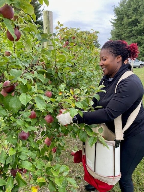 Here’s How Governor Shapiro’s Budget Proposal Addresses Anti-Hunger Programs and Food Insecurity in Pennsylvania 1 HotH 2 - Bucks County Beacon - Here’s How Governor Shapiro’s Budget Proposal Addresses Anti-Hunger Programs and Food Insecurity in Pennsylvania