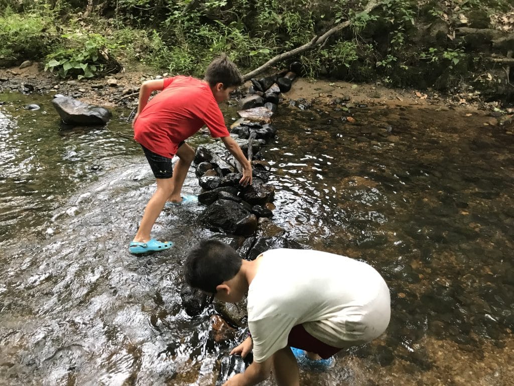 Snipes Summer Camp 2 - Bucks County Beacon - Here’s How You Can Help Ensure Snipes Farm and Education Center’s Summer Farm Camp Is Accessible to All Area Kids
