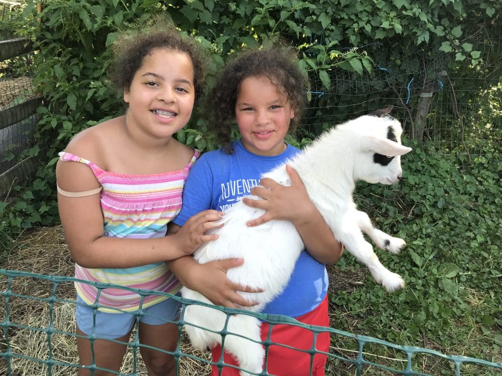 Snipes Summer Camp 3 1 - Bucks County Beacon - Here’s How You Can Help Ensure Snipes Farm and Education Center’s Summer Farm Camp Is Accessible to All Area Kids