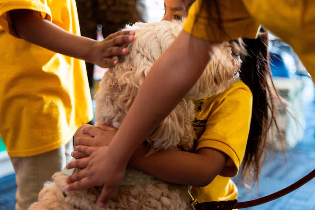 Minneapolis Immigrant Children Trauma2 1 - Bucks County Beacon - Trump's Minneapolis Immigration Crackdown Ended Months Ago. For These Little Kids, Trauma Remains