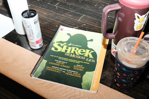Photo Essay: A Day at Truman High School's First Ever Summer Drama Camp 2 unnamed 10 - Bucks County Beacon - Photo Essay: A Day at Truman High School's First Ever Summer Drama Camp
