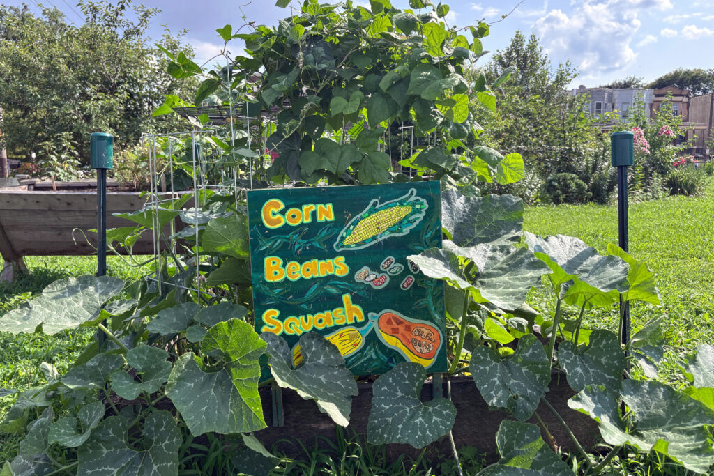 Tioga Hope Park and Garden - Bucks County Beacon - A Green Oasis Grows in North Philadelphia’s Heat Island