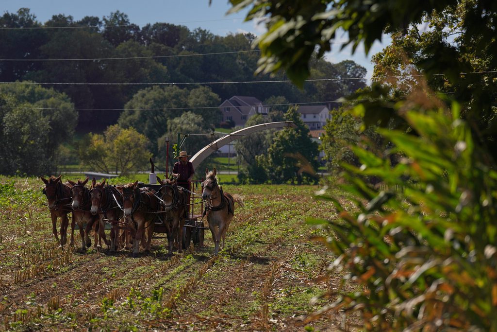 Measles Amish Country - Bucks County Beacon - As a Historic Measles Outbreak Hits Pennsylvania Amish Country, More Show Openness to Vaccines